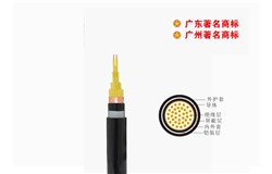 KVVP2-22-450/750V控制電纜 KVVP2-22-450/750V控制電纜